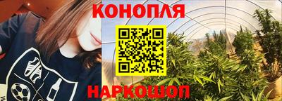 сатива Нальчик