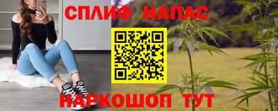 сатива Нальчик