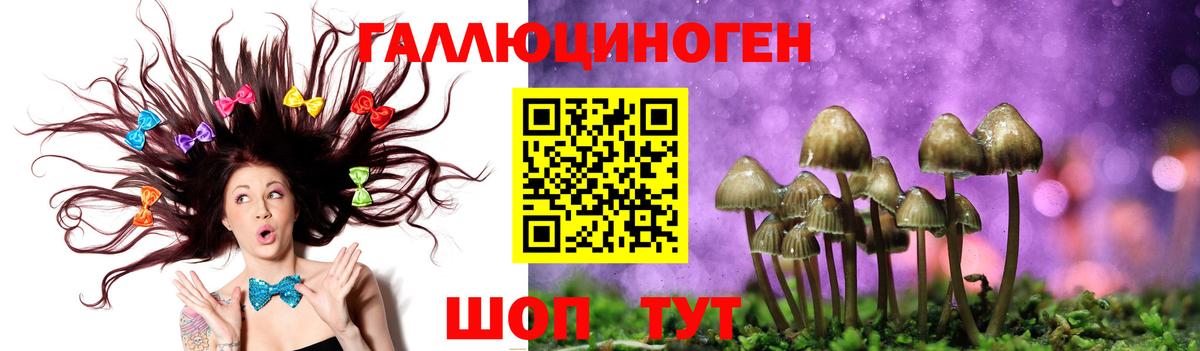 Псилоцибиновые грибы GOLDEN TEACHER  Псилоцибиновые грибы Cubensis  Туймазы  Вход с VPN 